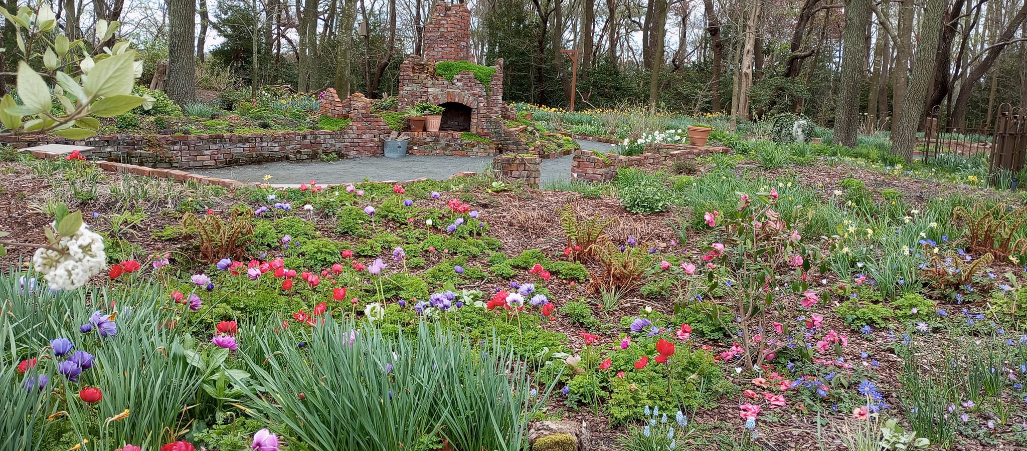 Hidden Gem: Discovering Delaware’s Botanical Paradise Near Dagsboro’s Tranquil Neighborhoods